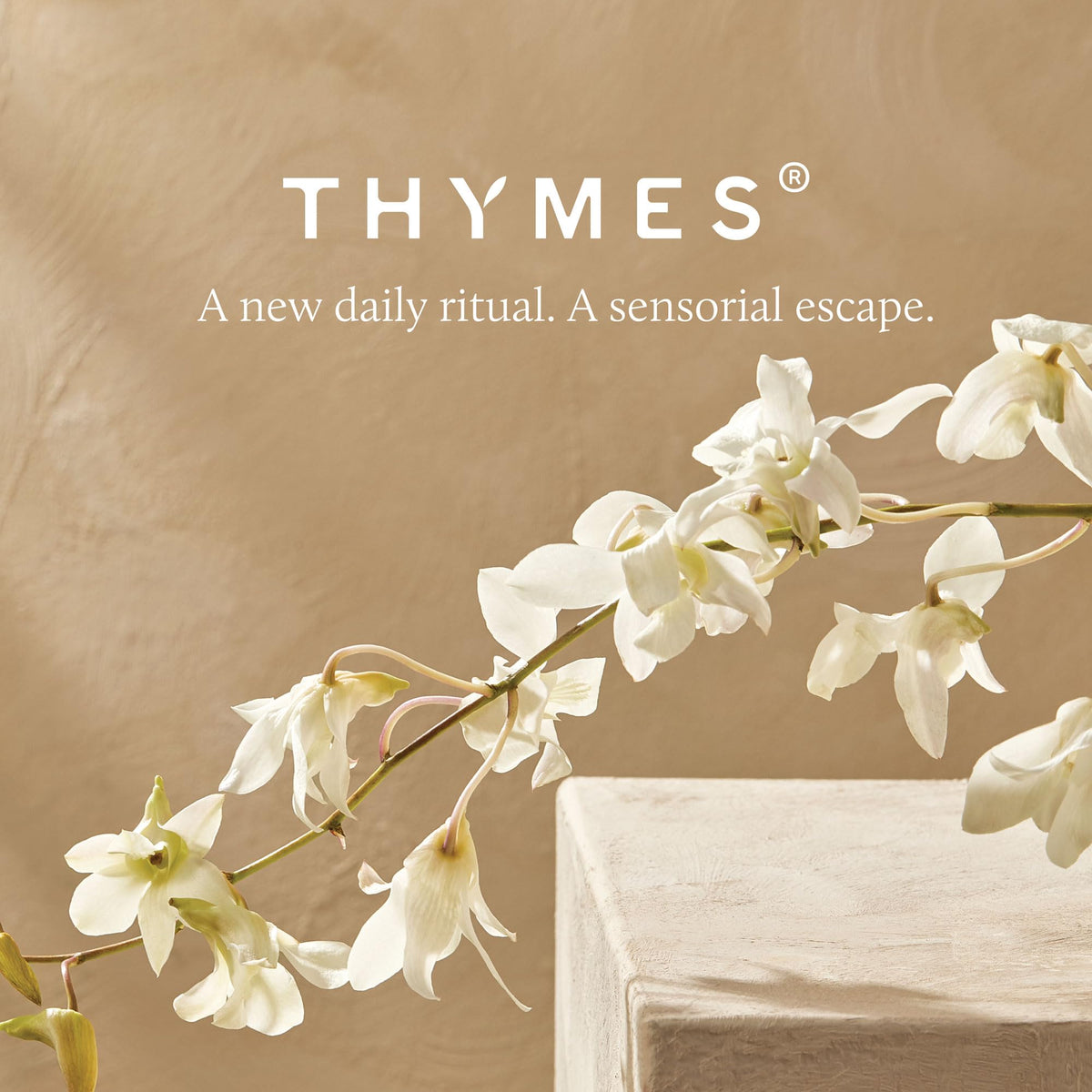 Thymes Nourishing Hand Wash - Liquid Hand Soap for Bathroom or Kitchen - Liquid Soap with Notes of Bergamot, Lemon, Orange Flower, Lotus & Sandalwood (Bergamot Nectar, 9.4 fl oz)