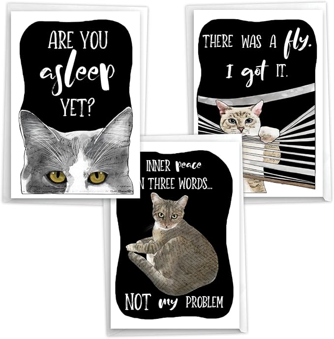 NobleWorks, Assortment Pack of 3 Funny Birthday Greeting Cards with Envelopes (3 Designs, 1 Each) Cat Antics Celebration VC10793BDG-C1x3