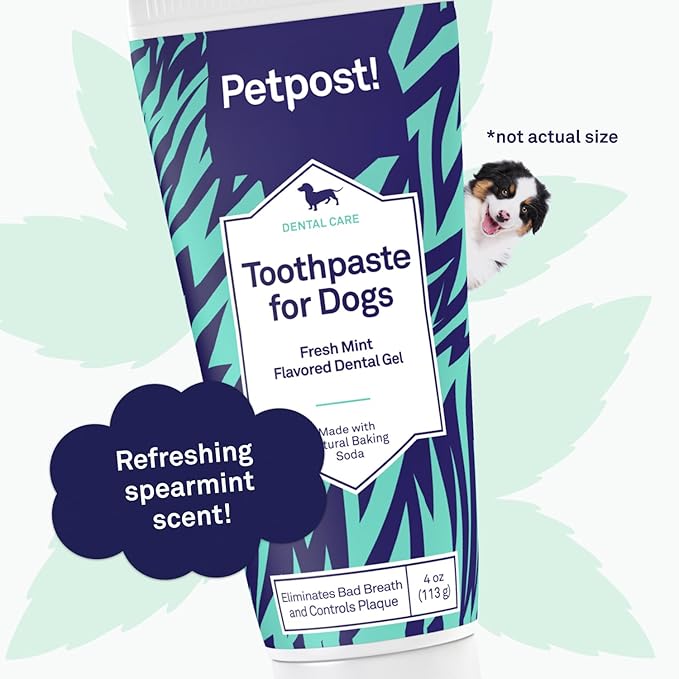 Petpost | Toothpaste for Dogs - Coconut Oil and Baking Soda Based Dental Gel That Naturally Eliminates Bad Breath - Dirt, Gunk, and Tooth Buildup Gone - Mint Flavor 4 oz.