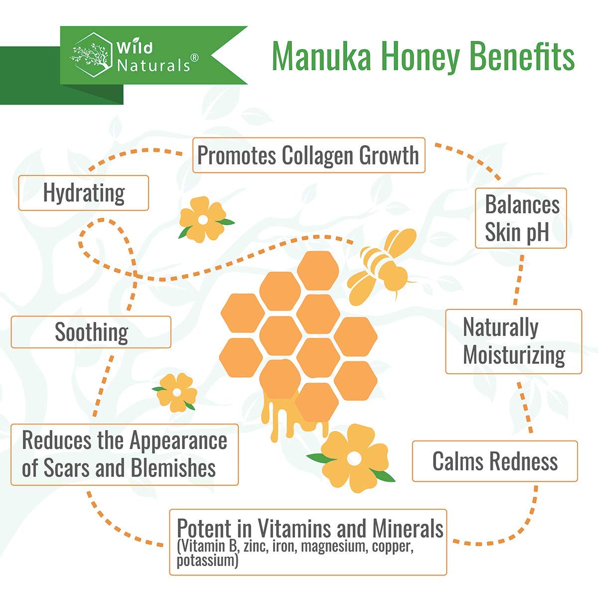 Wild Naturals Gentle Manuka Honey Face Wash - Eczema Facial Cleanser with Aloe Vera Extract, Hydrating & Soothing for Dry, Sensitive Skin - Repairs & Nourishes Irritated & Damaged Skin