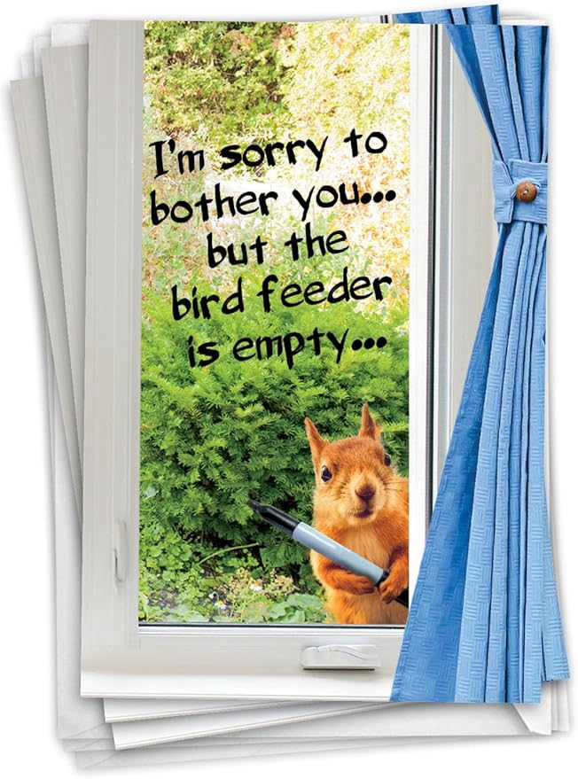 NobleWorks Pack of 3 Funny Birthday Greeting Cards with Envelopes (1 Design, 3 Each) Empty Bird Feeder C2561BDG-C3x1
