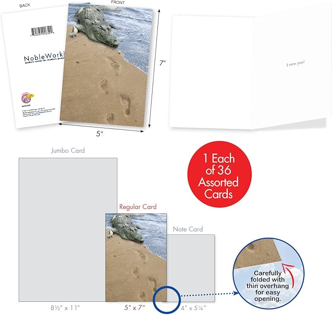 NobleWorks - 36 Assorted Funny Mixed Occasions Cards Box Set with Envelopes - Humor Get Well, Blank Bulk Greeting Card Variety Pack (36 Designs, 1 Each) - Mixed Messages AC9145XXG-B1x36
