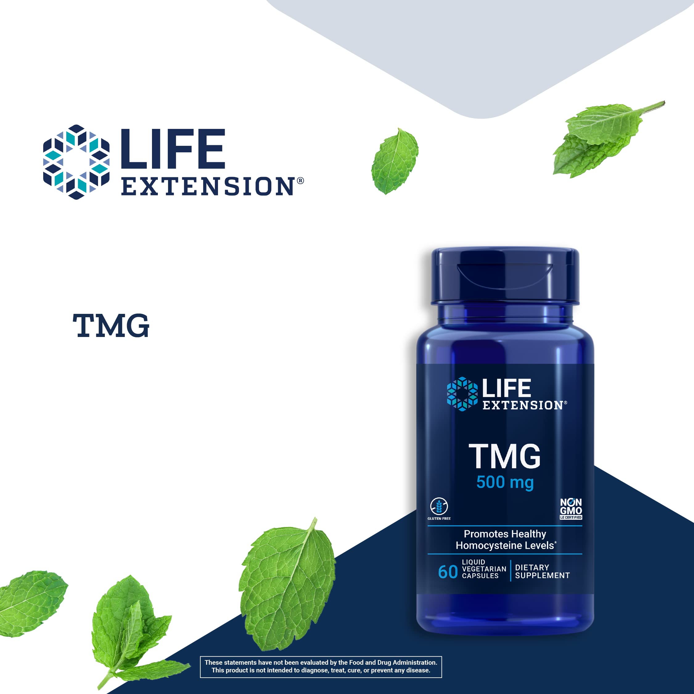 Life Extension TMG 500 mg – Trimethylglycine Supplement – Encourages Healthy Homocysteine Levels – Gluten-Free – Non-GMO – Vegetarian – 60 Liquid Vegetarian Capsules (Pack of 2)