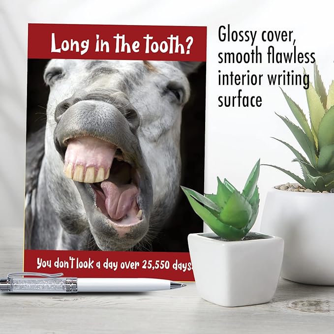 NobleWorks Funny 70th Birthday Milestone Greeting Card with 5 x 7 Inch Envelope (1 Card) Horse Teeth-70 C10250MBG