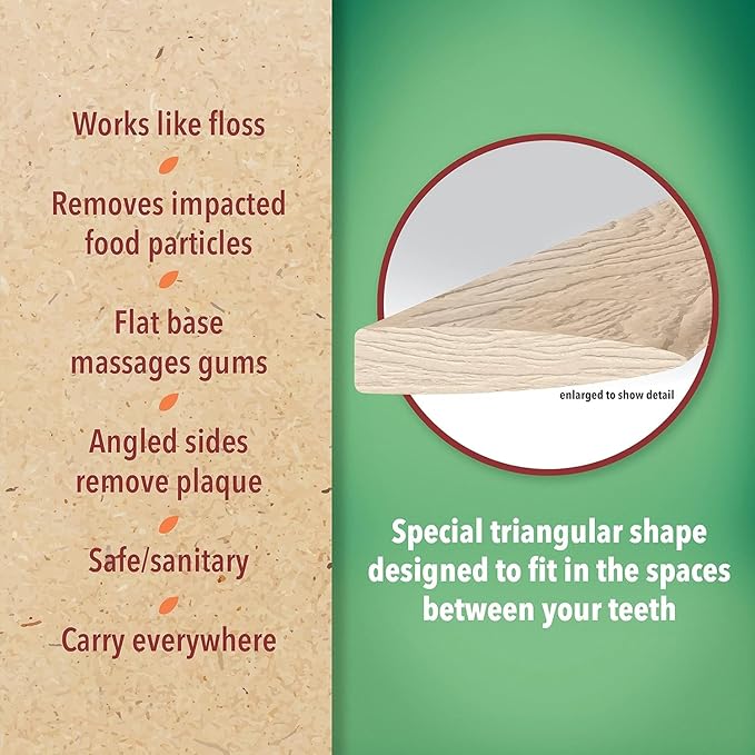 The Natural Dentist Earthpicks Plaque Removers 300 ct, Pocket-Sized Oral Health Solution, Eco-Friendly