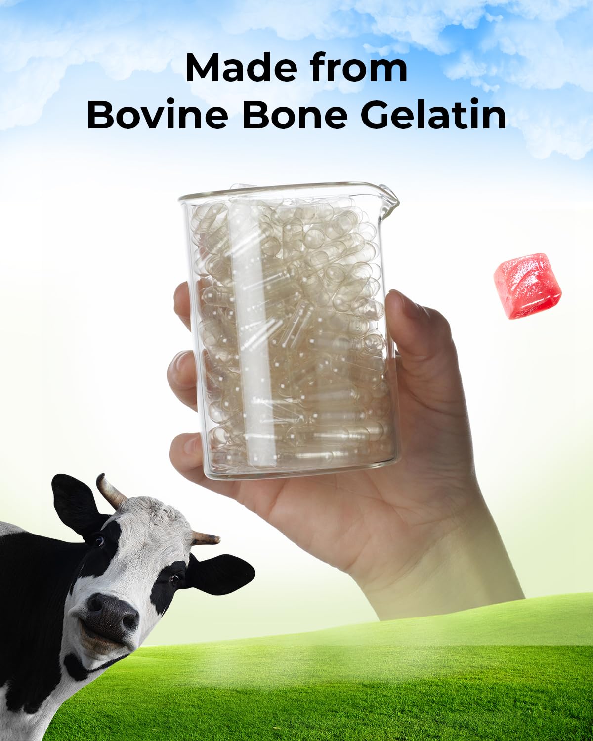 MéipaLien Empty Gelatin Capsules Size 5-1000 Count Bovine Bone Gel Capsules Empty | Quick Dissolve | All Size | for Powder & Liquid DIY Filling