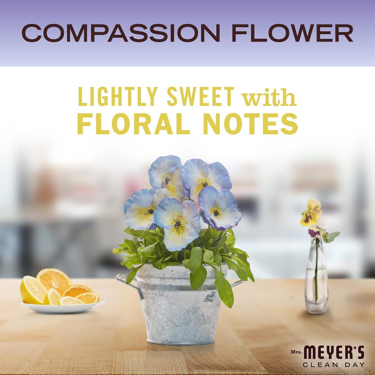 Mrs. MEYER'S CLEAN DAY Liquid Hand Soap 4 Pack Variety, Honeysuckle, Rain Water, Compassion Flower, & Lemon Verbena, 12.4 OZ Each, 1 CT Variety Pack