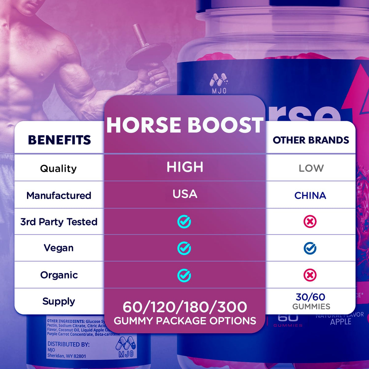 (2 Pack) Horse Boost Gummies for Men, Official Horse Boost Male Performance Support Supplement with All Natural Ingredients, Maximum Strength HorseBoost Advanced Mens Multivitamin Gummy (120 Gummies)