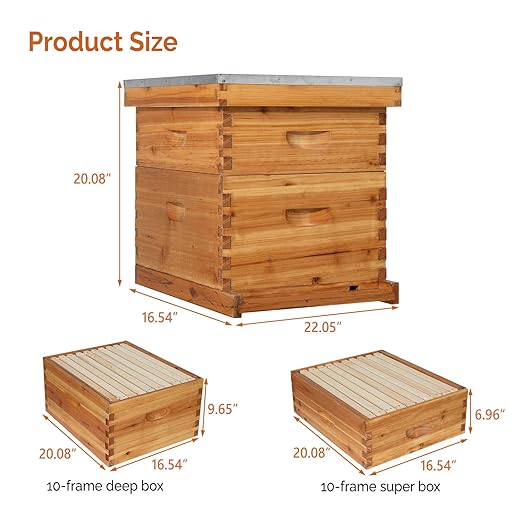 VINGLI 10 Frames Beehive, Complete Beehive Kit Includes 1 Deep Boxes, 1 Medium Box, Frames and Waxed Foundations, for Yard, Field, Bee Farm (2 Layer)