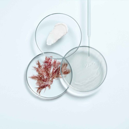 THALGO Soothing cream from the professional product line CICA Marin. Repairs, soothes and strengthens sensitive and weakened skin. Environmentally friendly refill capsule
