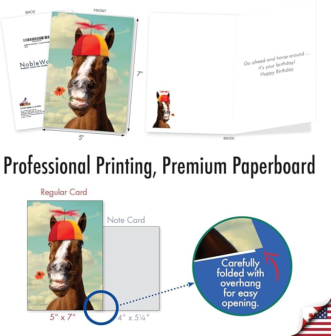 NobleWorks Assortment Pack of 3 Hysterical Birthday Greeting Cards with Envelopes for Men and Women (3 Designs, 1 Each) Horsing Around VC10014BDG-C1x3
