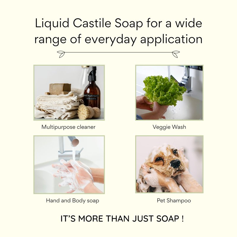 Claya Oud Liquid Castile Soap – Organic Ingredients, Biodegradable, Gentle for Sensitive Skin and Versatile Use (16 fl oz (Pump Cap))