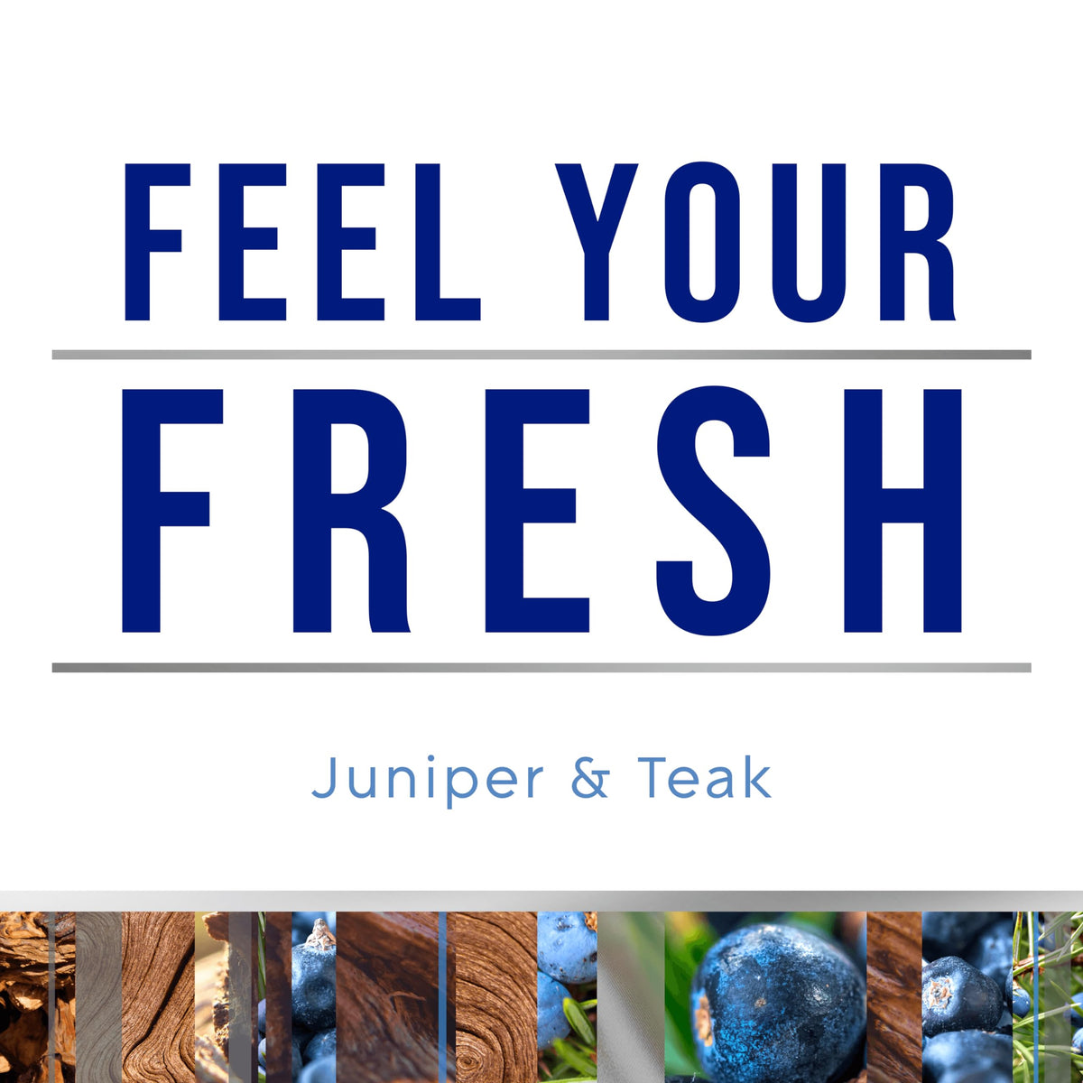 Glade PlugIns Refills Air Freshener, Scented and Essential Oils for Home and Bathroom, Juniper & Teak, Fresh Collection 3.35 Fl Oz, 5 Count