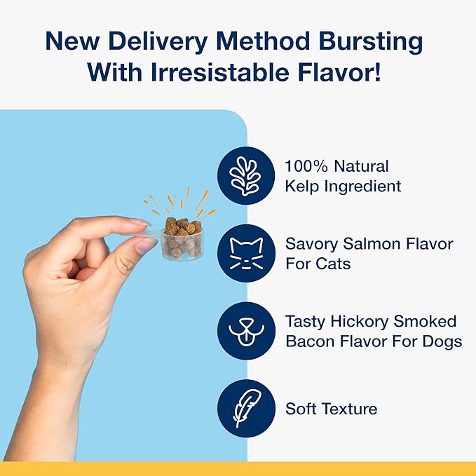ProDen PlaqueOff Scoopables - Hickory Smoked Bacon Flavor Dental Bites for Small Dogs, Natural Kelp for Plaque & Tartar Control, Freshens Breath - Small & Medium Breed Dental Care- 45 Scoops