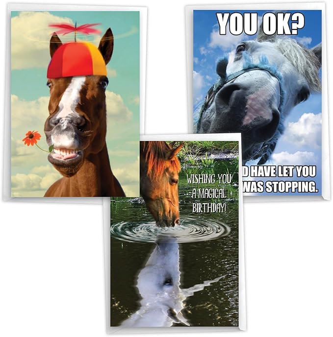 NobleWorks Assortment Pack of 3 Hysterical Birthday Greeting Cards with Envelopes for Men and Women (3 Designs, 1 Each) Horsing Around VC10014BDG-C1x3