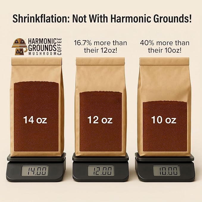 Harmonic Grounds Organic Cinnamon Medium Roast Mushroom Coffee | Organic Ground Coffee with Functional Mushrooms | Lion’s Mane, Reishi, Chaga, Cordyceps, Turkey Tail | Fruiting Body Only | 14 oz Bag