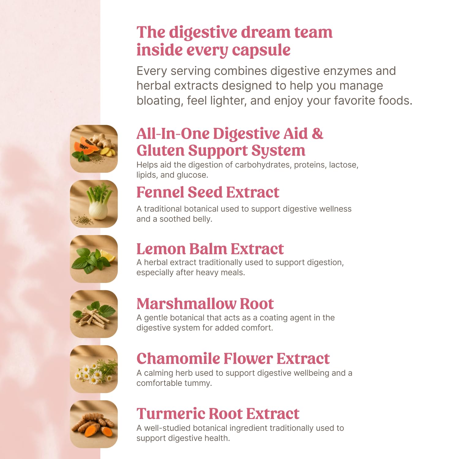 Happy Mammoth Bloat Banisher for Bloating, Digestion, and Gut Comfort