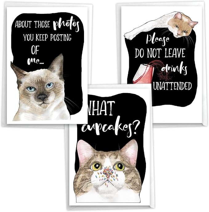 NobleWorks, Assortment Pack of 3 Funny Birthday Greeting Cards with Envelopes (3 Designs, 1 Each) Cat Antics Party VC10794BDG-C1x3