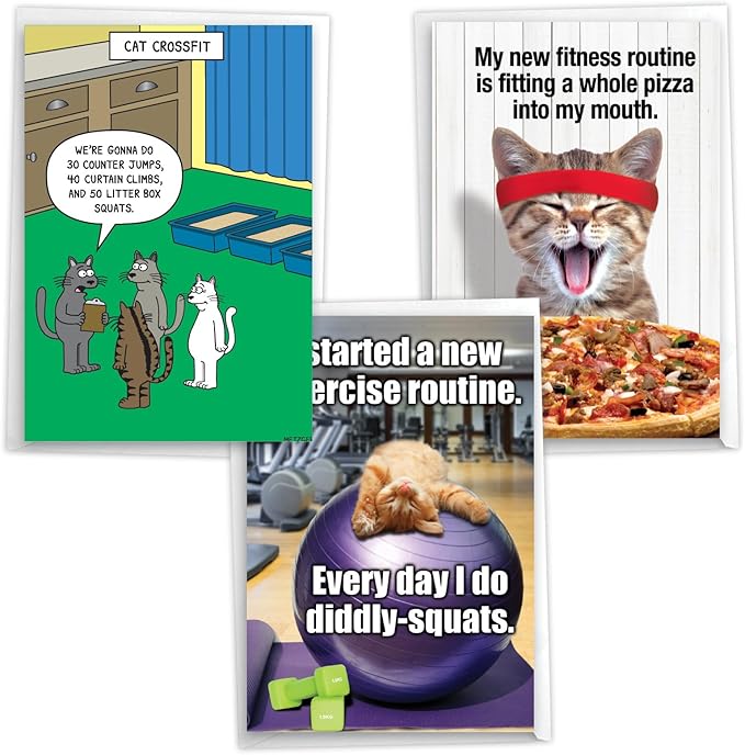 NobleWorks Assortment Pack of 3 Hysterical Birthday Greeting Cards with Envelopes for Men and Women (3 Designs, 1 Each) Kitten Fitness VC10012BDG-C1x3