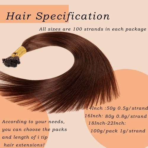 20Inches I Tip Human Hair Extensions,100g/Pack 1g/strand Pre Bonded Keratin Stick Tip Real Hair Extensions #4 Medium Brown Human Hair I Tip