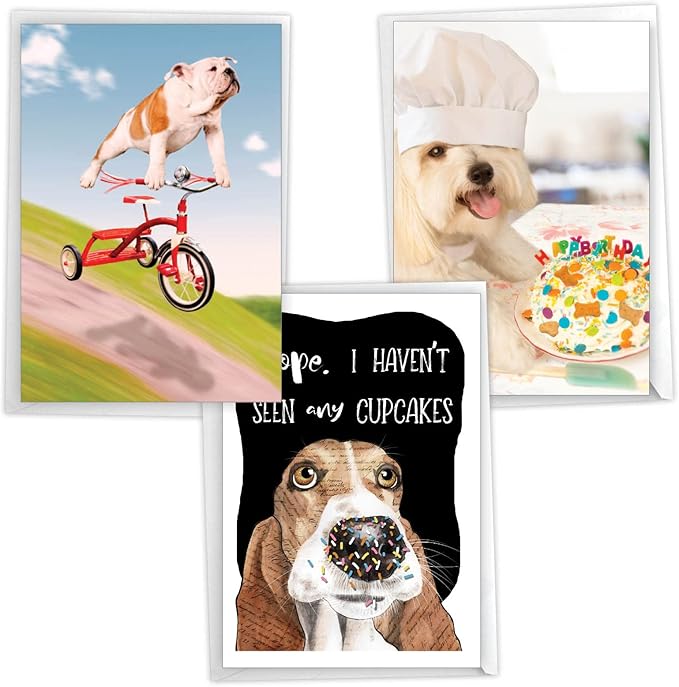 NobleWorks Assorted 3 Pack of Hilarious Dog Themed Birthday Greeting Cards with 5 x 7 Inch Envelopes (3 Designs, 1 Each) Party Pups VC2804BDG-C1x3