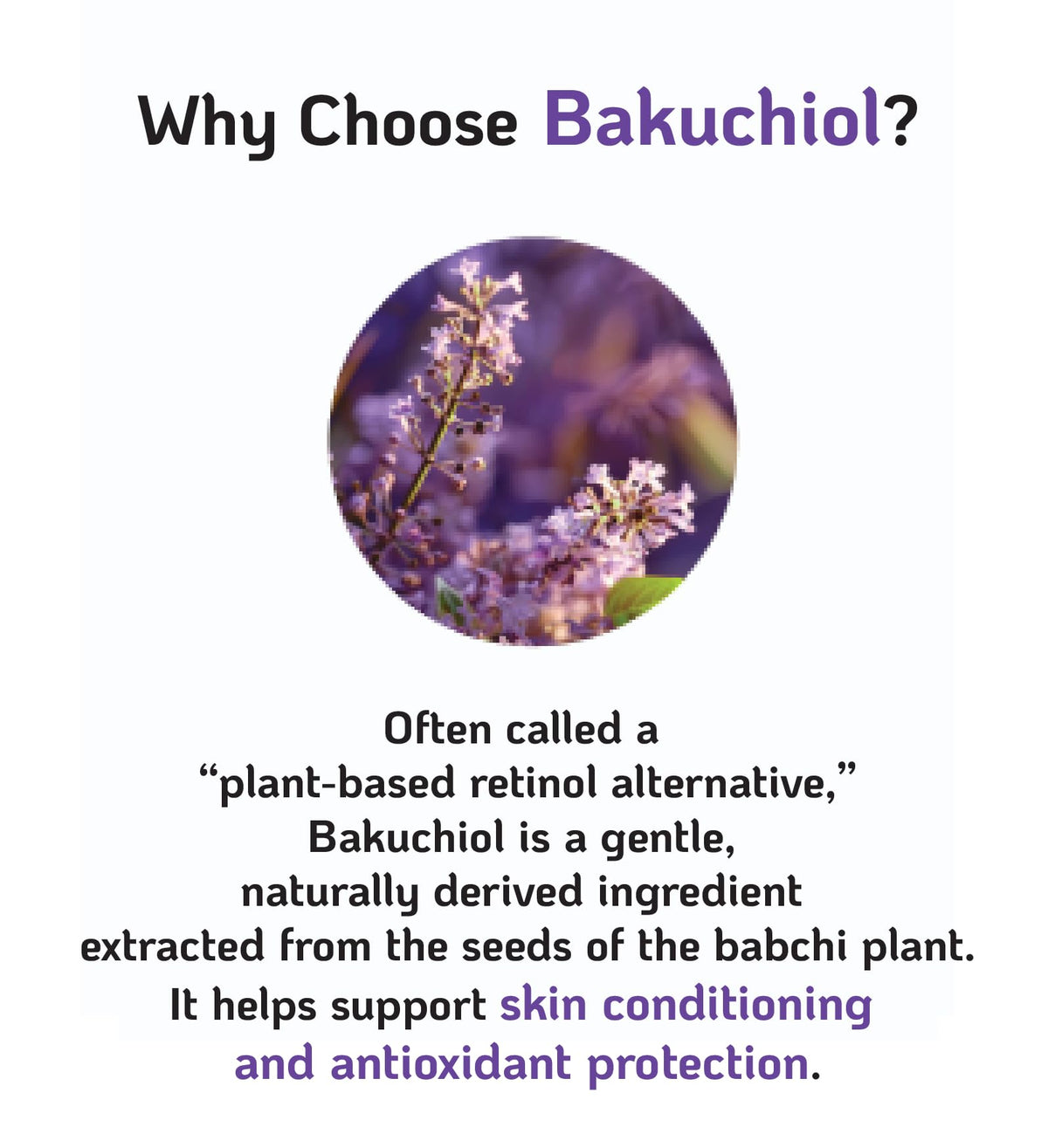 Korean Bakuchiol Concentrate Mix 2 Drops In Any Step of Your Skin Care Routine Retinol Alternative Non GMO Vegan Certificate Safe Natural Botanical Antioxidant Cold Pressed 10000ppm 30ml