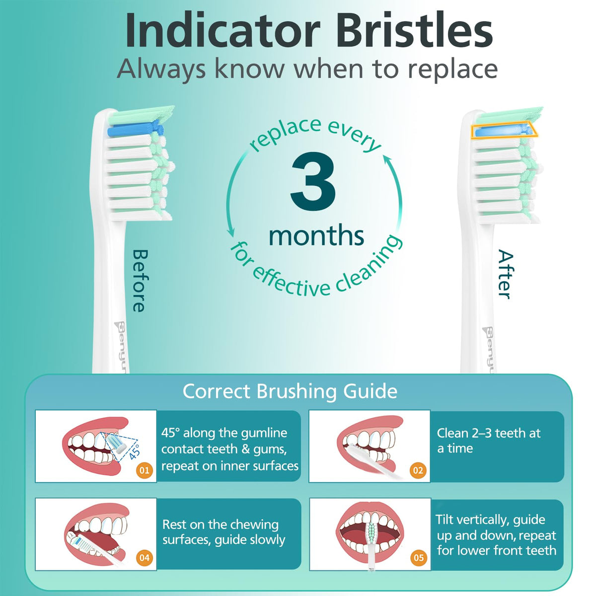 Senyum Toothbrush Heads for Philips Sonicare Replacement Heads E-Series, Essence, Xtreme, Elite, Advance and CleanCare Screw-On Electric Handles, Brush Heads for Philip Sonic Care, 6 Pack