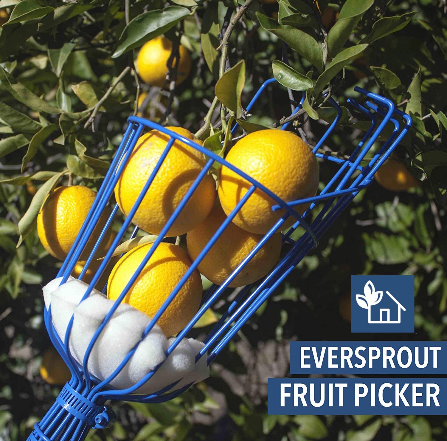 EVERSPROUT 4.5 to 12 Ft Fruit Picker with TwistOn Basket and Extension Pole