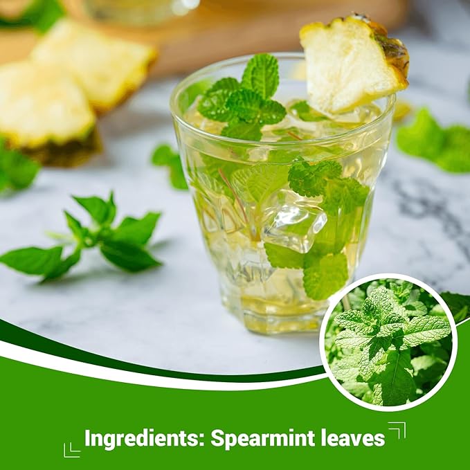 Spearmint Leaf Herbal Tea - Caffeine Free, 120 Teabags