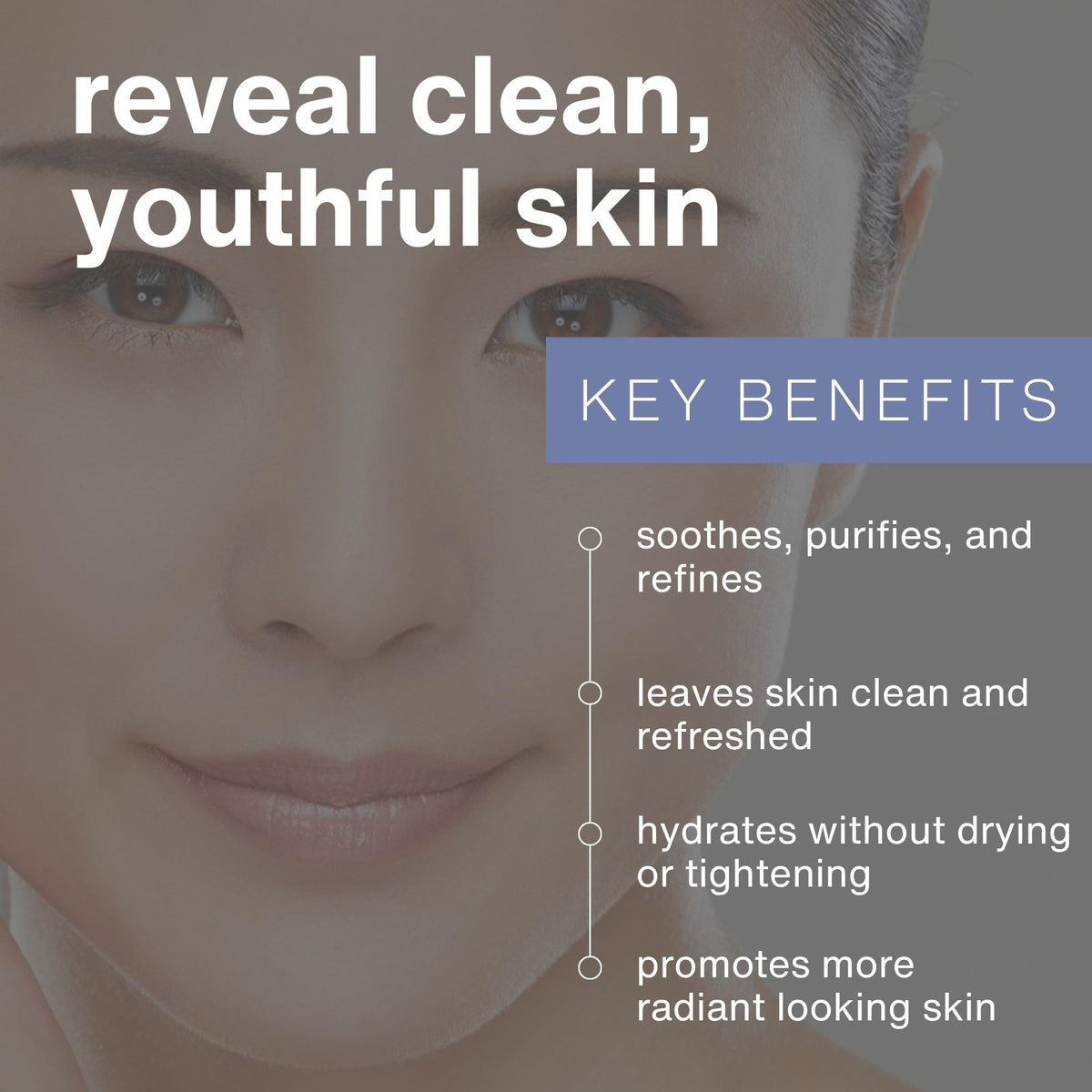 eraclea Purifying Gel Cleanser with Hyaluronic Acid and Aloe (4 fl oz)