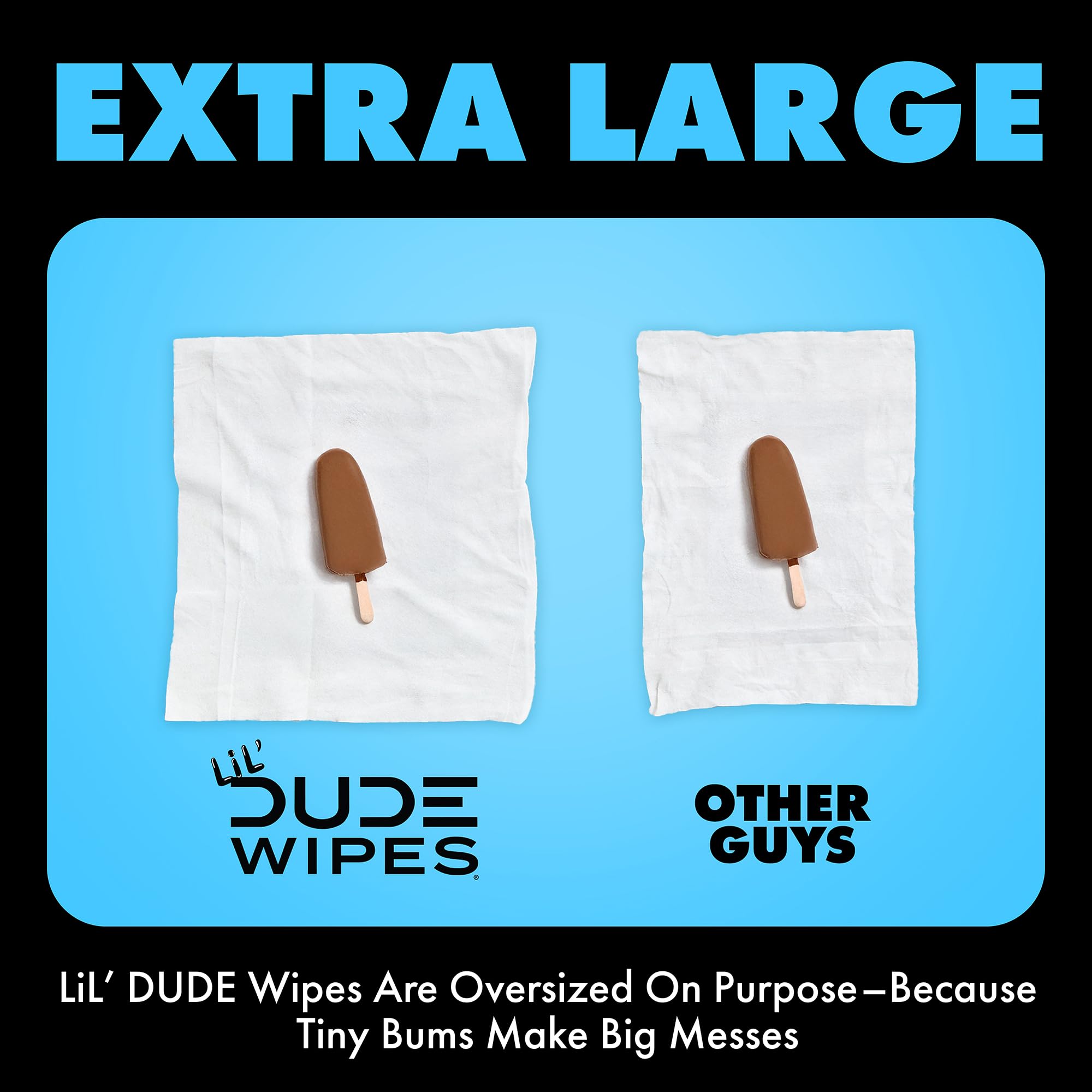 DUDE Wipes LiL' DUDE Flushable Water Wipes for Toddlers - Potty Training Toilet Safe (unlike nonflushable baby wipes) - 99% Water, Hypoallergenic for Sensitive Skin - Unscented, 4 Pack (168 Count).