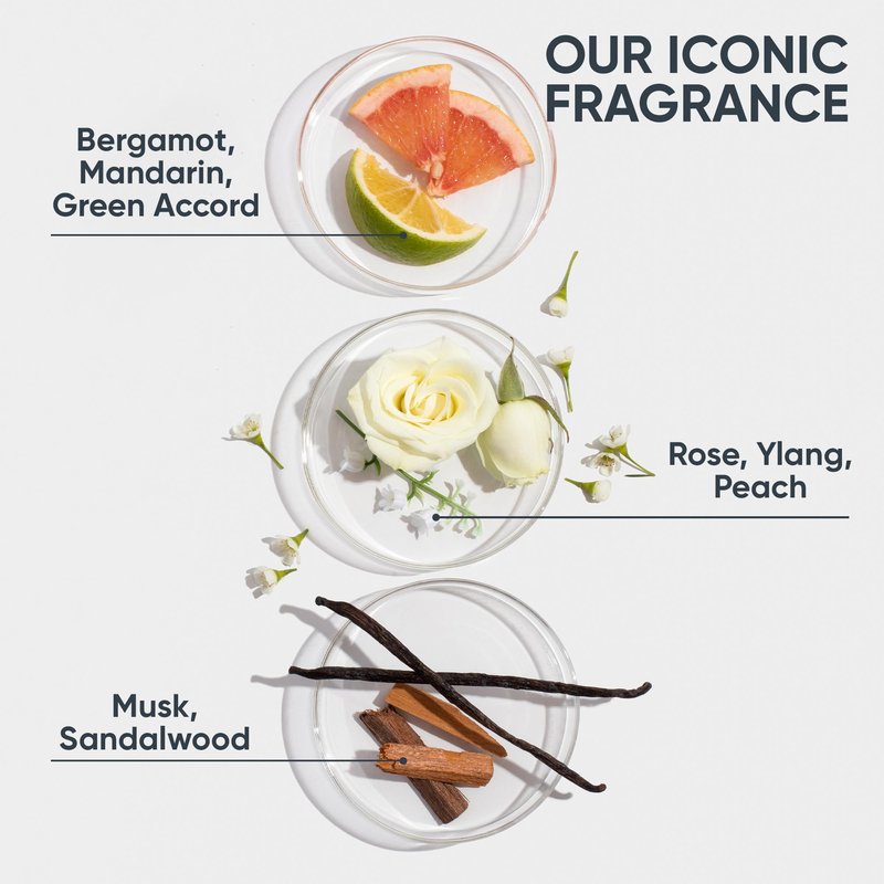 Biolage Hydra Source Conditioning Balm - Conditions, Detangles & Adds Softness, For Dry Hair, Infused with Micro-Filtered Aloe Vera, Vegan & Paraben-Free, Packaging may vary