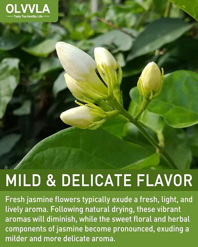 Olvvla - Dried Jasmine Flowers - 3oz/85g - 100% Natural Jasmine Tea Edible Flowers - Pure Jasmine Buds Loose Leaf Herbs - Non-GMO - Natural Fragrance