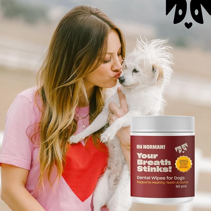OH NORMAN! Dog Dental Wipes - Vet-Approved Pet Dental Finger Wipes for Oral Hygiene & Fresh Breath - Alternative to Finger Toothbrush for Dogs - No Fuss Dog Cleaning Supplies for Daily Use - 50 pcs