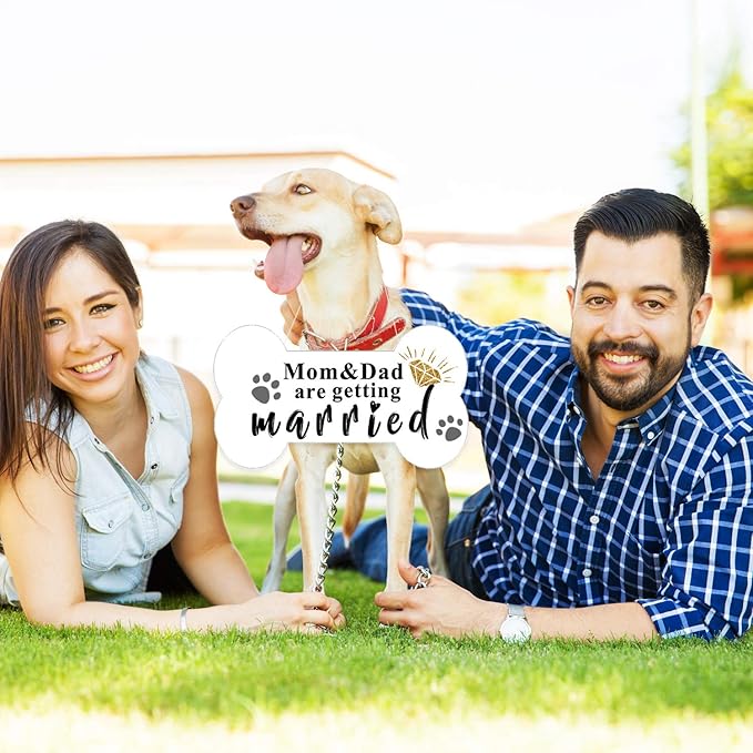 Blulu 10 Pieces She Said Yes Sign Engagement Photo Props Engagement Announcement Photo Prop Kit Signs Cardboard for Wedding Party