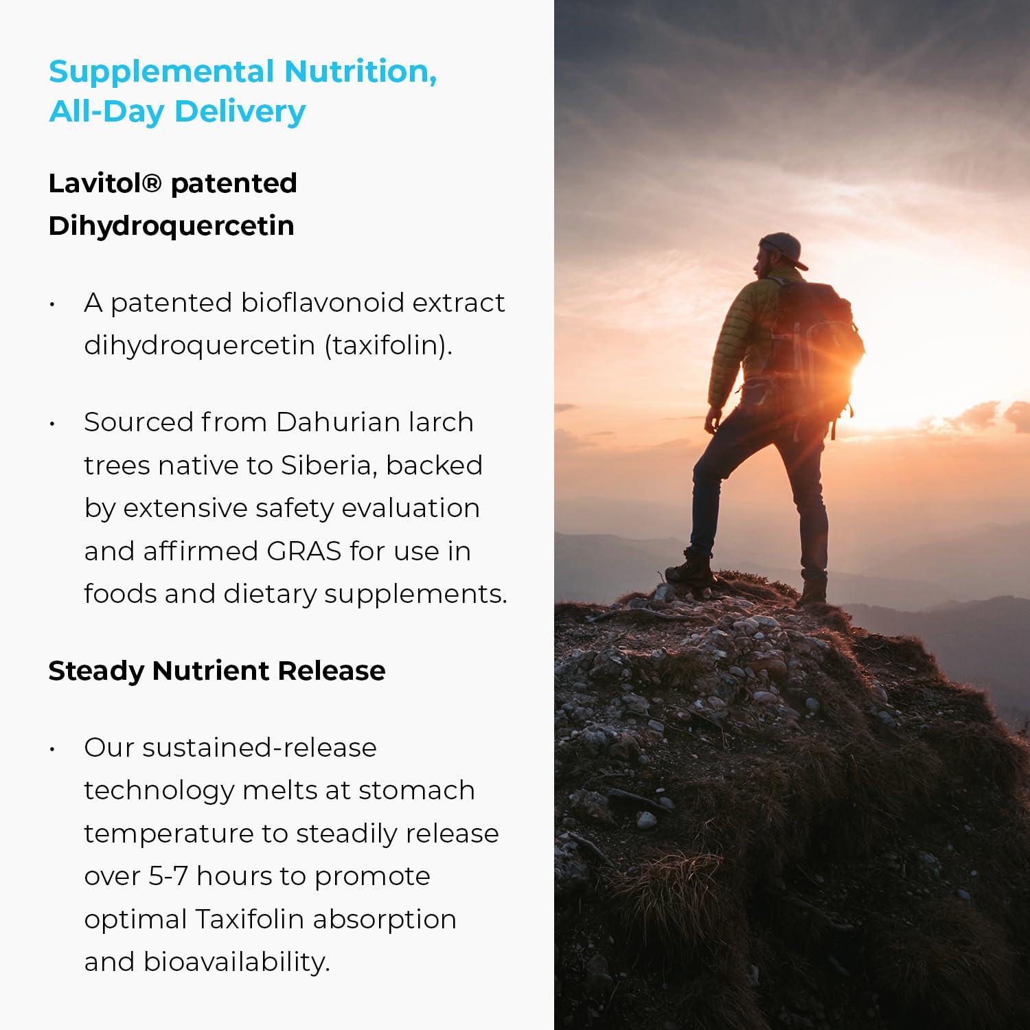 ENDUR Taxifolin SR (Sustained Release) Dihydroquercetin - DHQ 60 mg (60 ct)