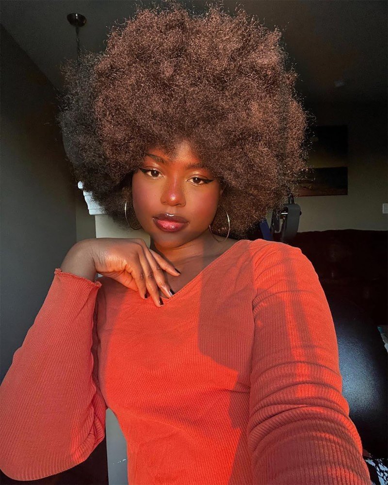 HIHOO Short Afro Wig with Bangs for Black Women Afro Kinky Curly Wig 70s Premium Synthetic Big Afro Wigs(Red Brown)