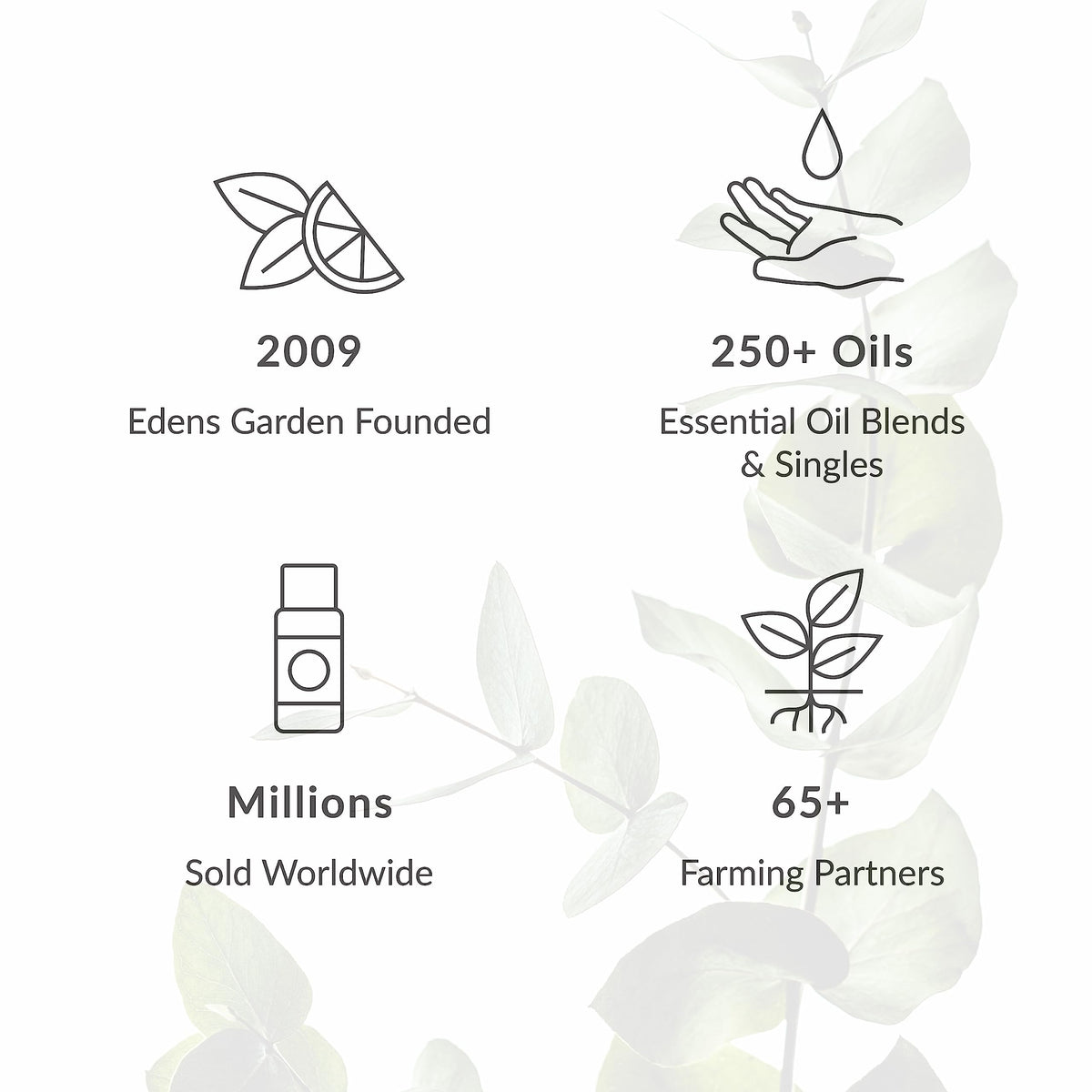Edens Garden XOXO Essential Oil Blend- 100% Pure Premium Grade, Undiluted, Natural, Therapeutic, Aromatherapy, The Best for Diffusing, Skin, Candle, Humidifiers 10 ml (.33 fl oz)