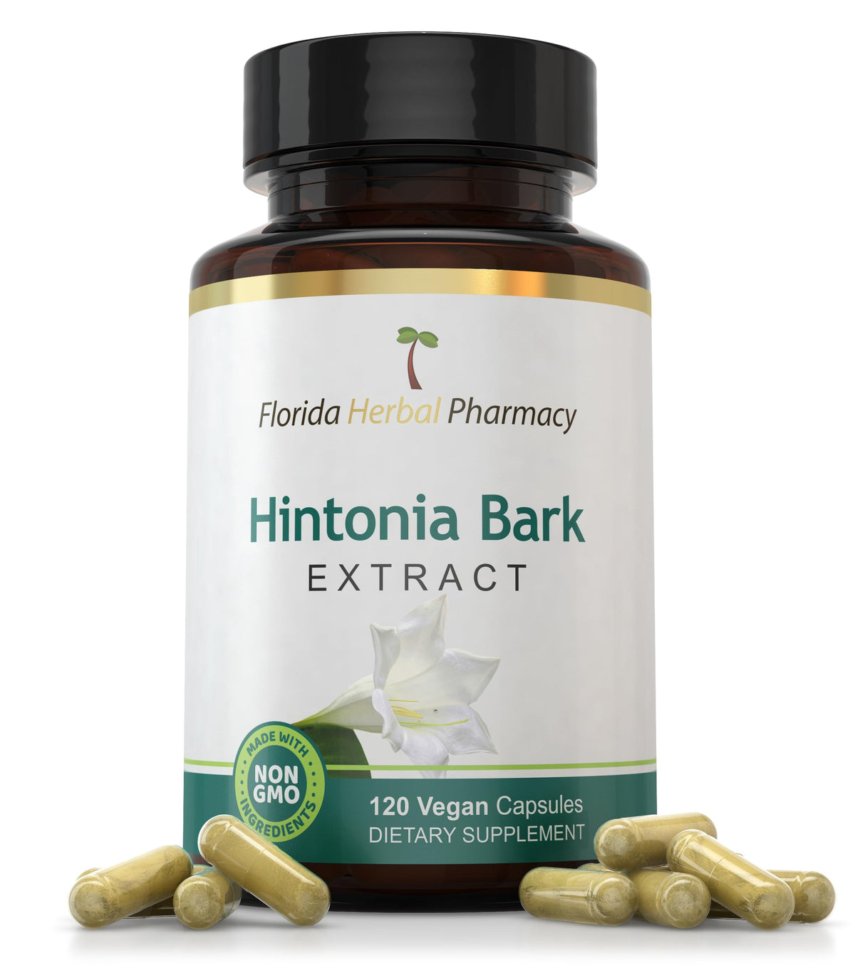 Florida Herbal Pharmacy, Hintonia Latiflora Extract Capsules 10:1 (120 Capsules) Pack of 1
