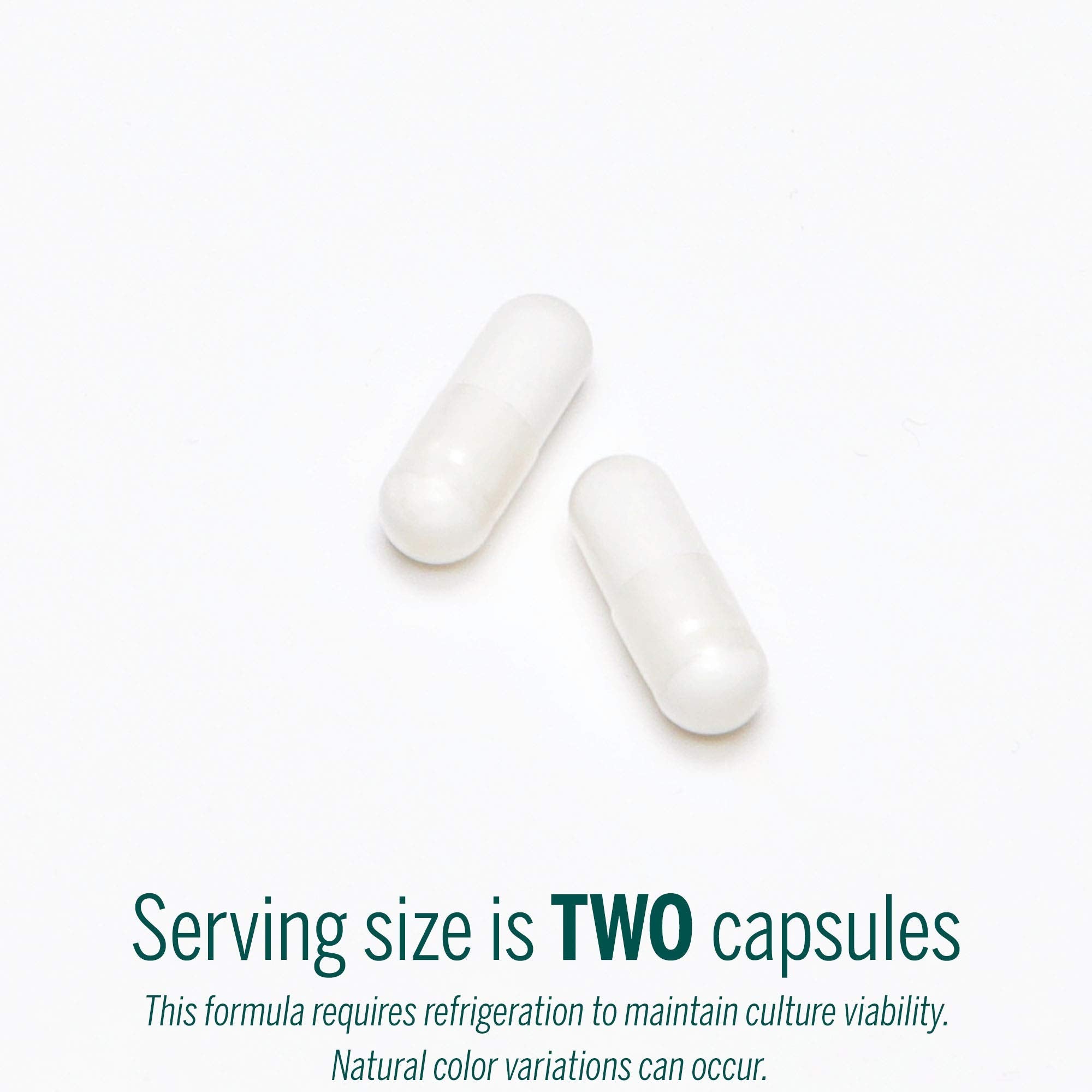 Genestra Brands HMF Capsules | Probiotic Formula to Support Healthy Gut Flora | 60 Capsules