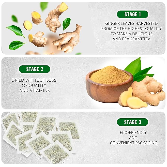 TeadreamTea Ginger Tea Bags - 300 Bleach-Free Tea Bags | Caffeine Free, Antioxidant, Calms Upset Stomach - Strengthen Immune System - Herbal Ginger Tea