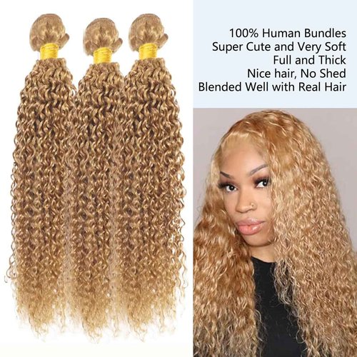 Fabimiya 20 22 24 Inch Human Hair Bundles Honey Blonde 27# Jerry Curly Bundles Human Hair 100% Unprocessed Soft Sewn In Hair with Double Weft for Black Women