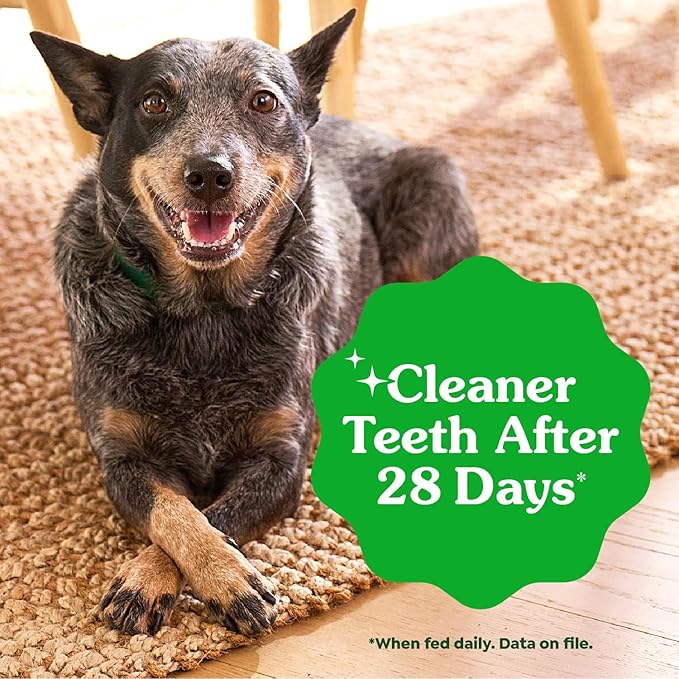 Greenies Veterinarian-Recommended Adult Natural Dental Dog Treats Regular Size, Original Flavor, 36 oz. Pack, 36 Count