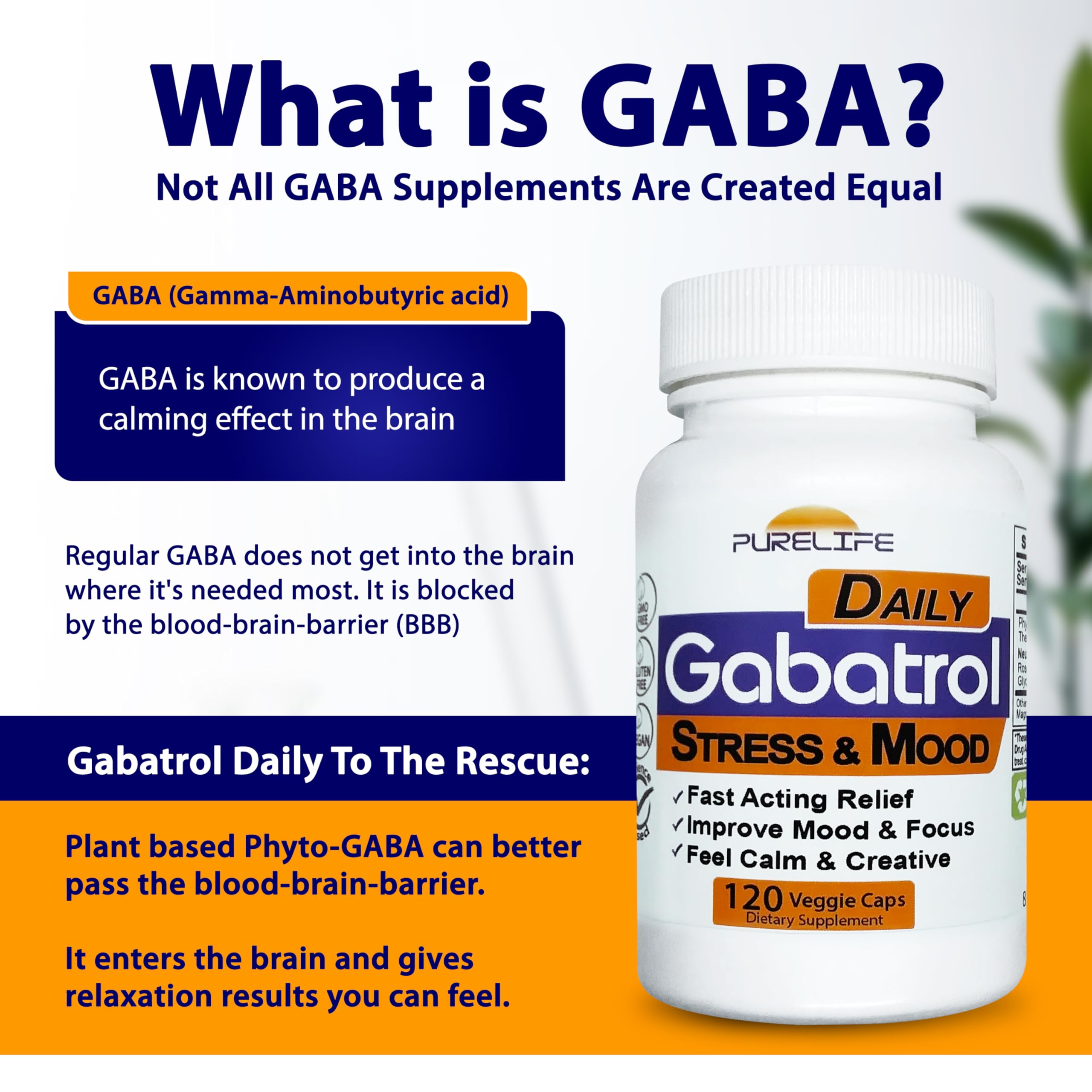 Gabatrol Daily – Plant Based GABA Supplement. Vegetarian and Vegan Friendly (120 Veggie Caps)