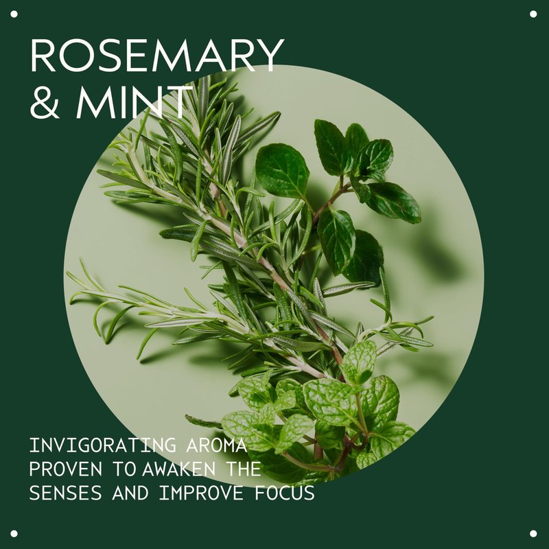 Aveda Rosemary Mint Purifying Shampoo | Clarifying Shampoo | Gently Removes Buildup, Adds Shine | For Normal to Oily Hair, Fine to Medium Hair | Invigorating Aroma| 97% Naturally Derived*, 1.7 Fl Oz