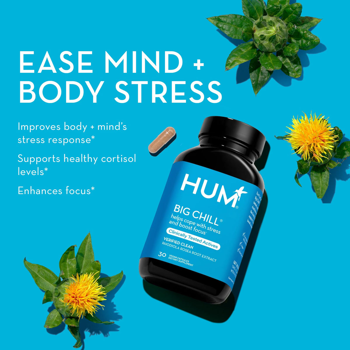 HUM Big Chill Rhodiola Rosea Supplement, Adaptogenic Herbal Calm Supplement, Support for Focus, Calming and Adrenal Health Balance with 500mg Rhodiola Rosea Extract, Gluten Free, 30 Vegan Capsules
