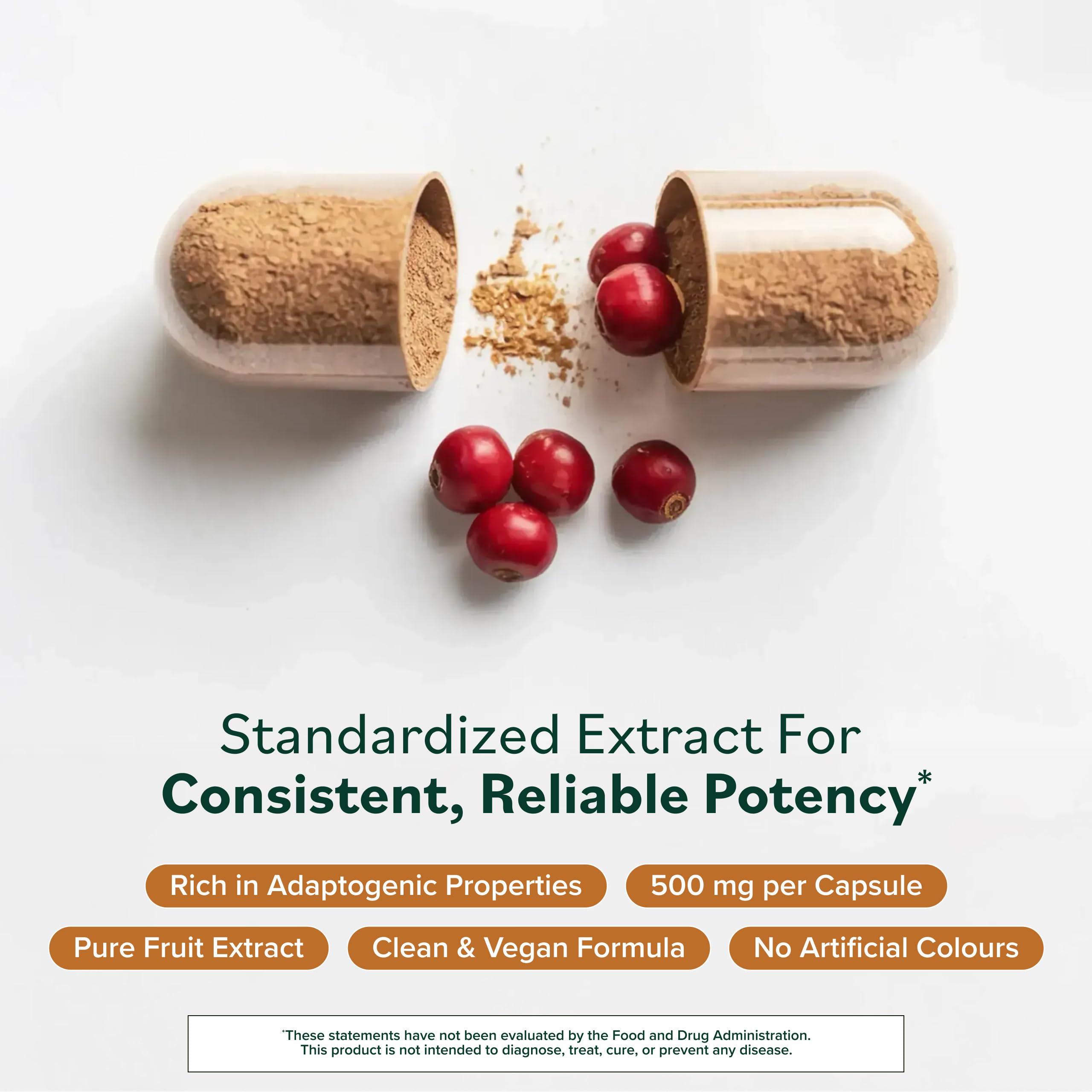 Prominent Nutrition Schisandra - Supplement for Liver & Stress Support - No Artificial Colors - Non-GMO, Vegan & Gluten-Free - 60 Capsules (60 Servings)