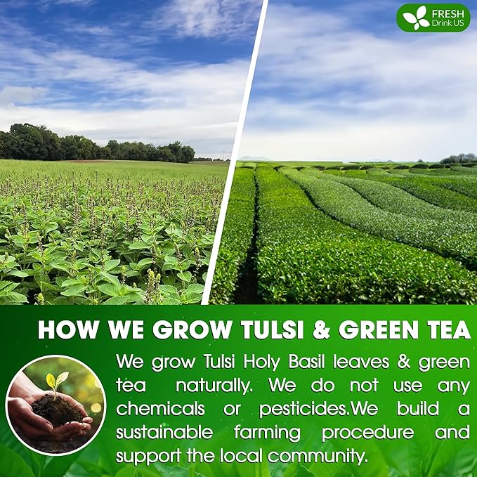 FreshDrinkUS, Premium 30 Tulsi Green Tea Bags, 100% Natural, Blend of Tulsi Holy Basil Leaves, and Green Tea Leaves. Made with Natural Material Tea Bags. No Sugar, Vegan.