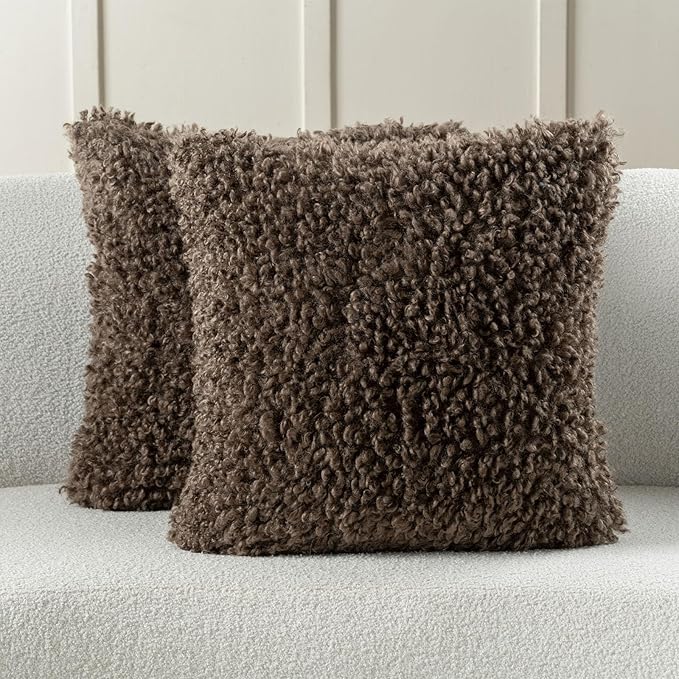 FUTEI Chocolate Decorative Throw Pillow Covers 20x20 Inch Set of 2,Soft Fluffy Faux Wool Fur Boucle Textured Cushion Case,Modern Home Decor for Couch Bed Living Room Office