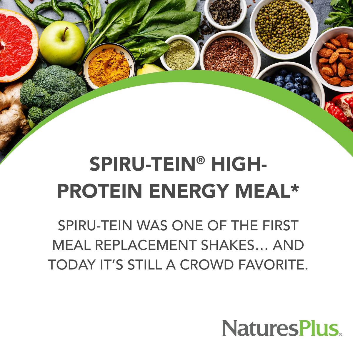 NaturesPlus SPIRU-TEIN, Chocolate - 1.05 lb - Plant-Based Protein Shake - Non-GMO, Vegetarian, Gluten Free - 17 Total Servings